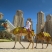 image Contemporary tents, Dome structures, Event Dome Tent, Modern Event Domes, Steel Structure, dubai