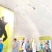image Contemporary tents, Dome Marquee, Dome structures, Modern Event Domes, Steel Structure, tessenderlo