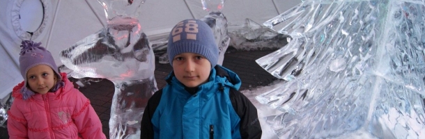 Wystawa Lodowa w Rybniku, Freedome 30