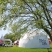 image Branding, Event Dome, Event Domes, Marquee Domes, Steel Structure, Transparent Front, Vinyl Branding, freedome-150, testuj-fiata