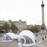 healthy lungs for life bubbles from freedomes geodesic domes