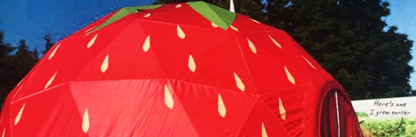 strawberry geodesic dome at bloom 2016