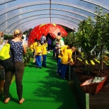 strawberry geodesic dome at bloom 2016