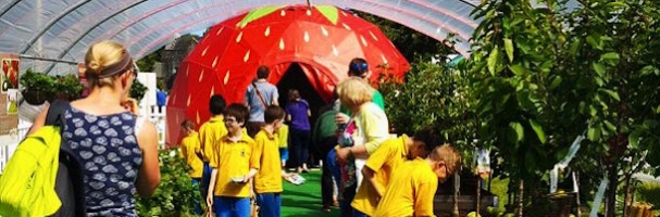 strawberry geodesic dome at bloom 2016