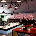 unique bar with mustang neon in a geodesic dome from freedomes
